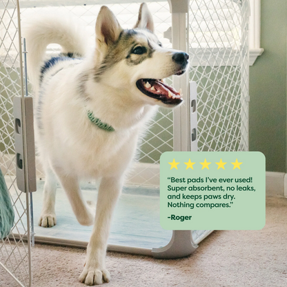 Dog Pee Pads - Max Absorbency Training Pads With AbsorbShield™+ Technology