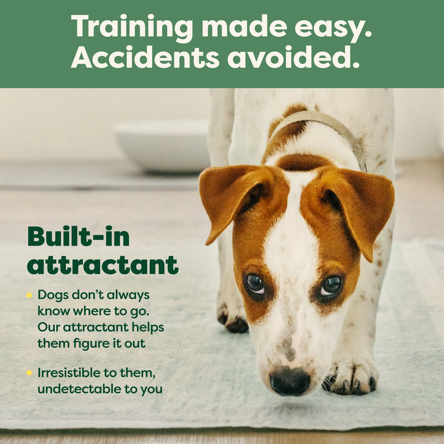 Dog Pee Pads - Max Absorbency Training Pads With AbsorbShield™+ Technology